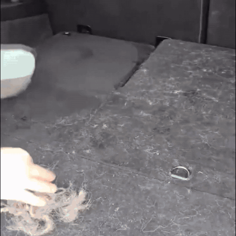 Guante quitapelos para perros y gatos